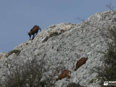 Valle Sakana-Sierras Navarra; laguna de la nava rutas islas cies o camiño dos faros sendas de madrid